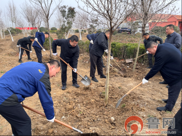 胶州胶莱街道成功举办“手植一株绿，新栽一片林”义务植树活动