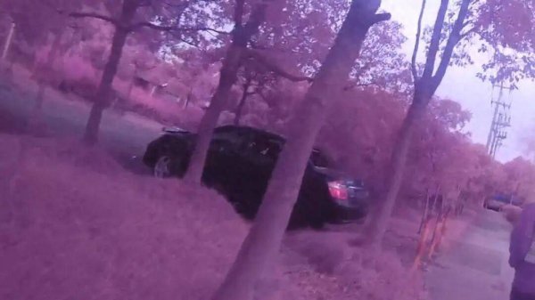 上海一车主为省停车费将车停河边，一周后车不见了：竟被人当“废铁”卖了2500元！
